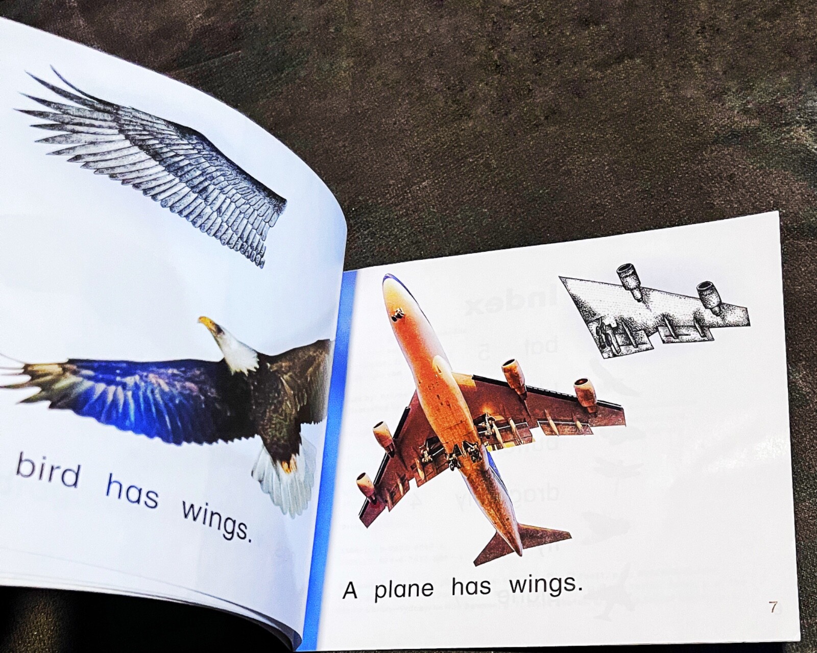 Rigby Literacy Emergent WINGS Reading Level 1/F&P Level A Paloma Kennedy Ex-Lib