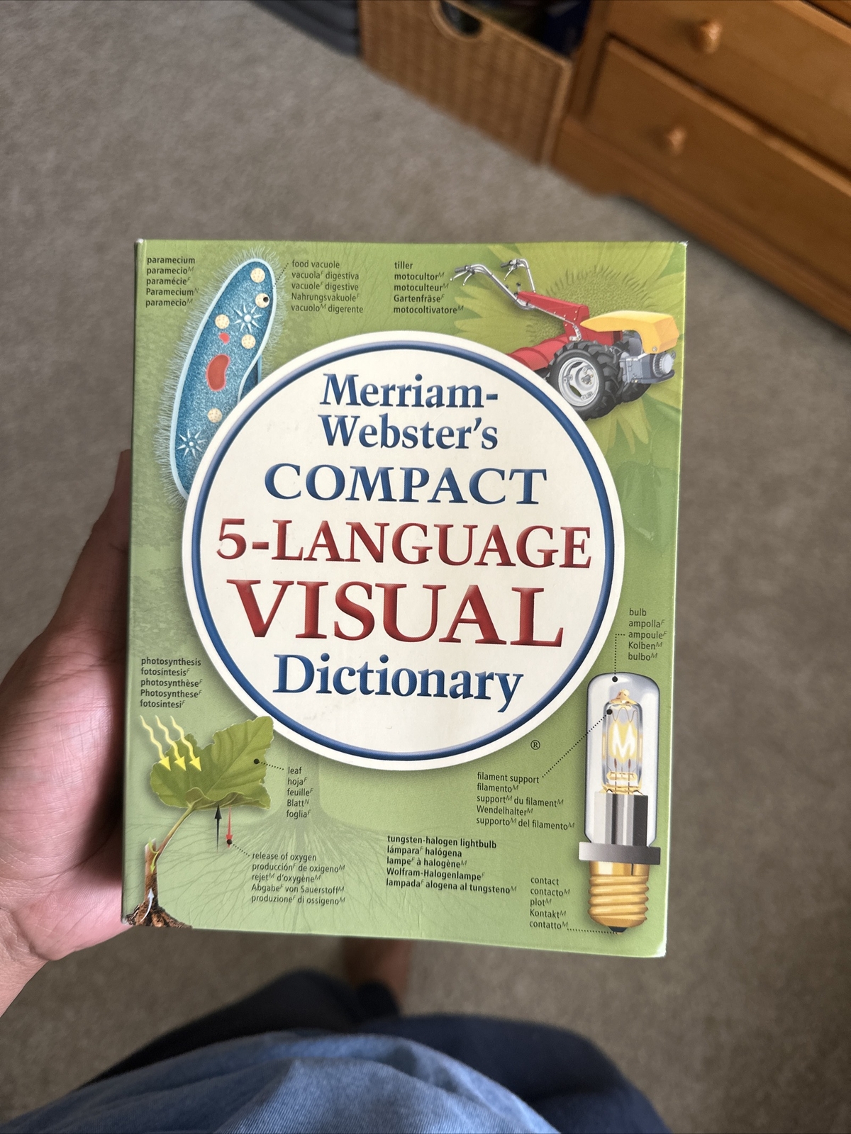 Merriam-Webster’s Compact Five-Language Visual Dictionary by Inc….