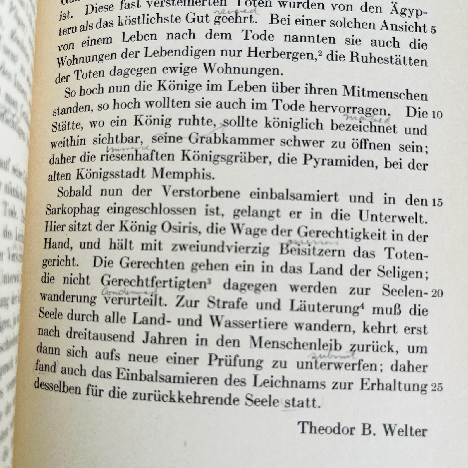 Dauer im Wechsel Ernst Koch 1937 Vintage German Language Hardcover Book Photos