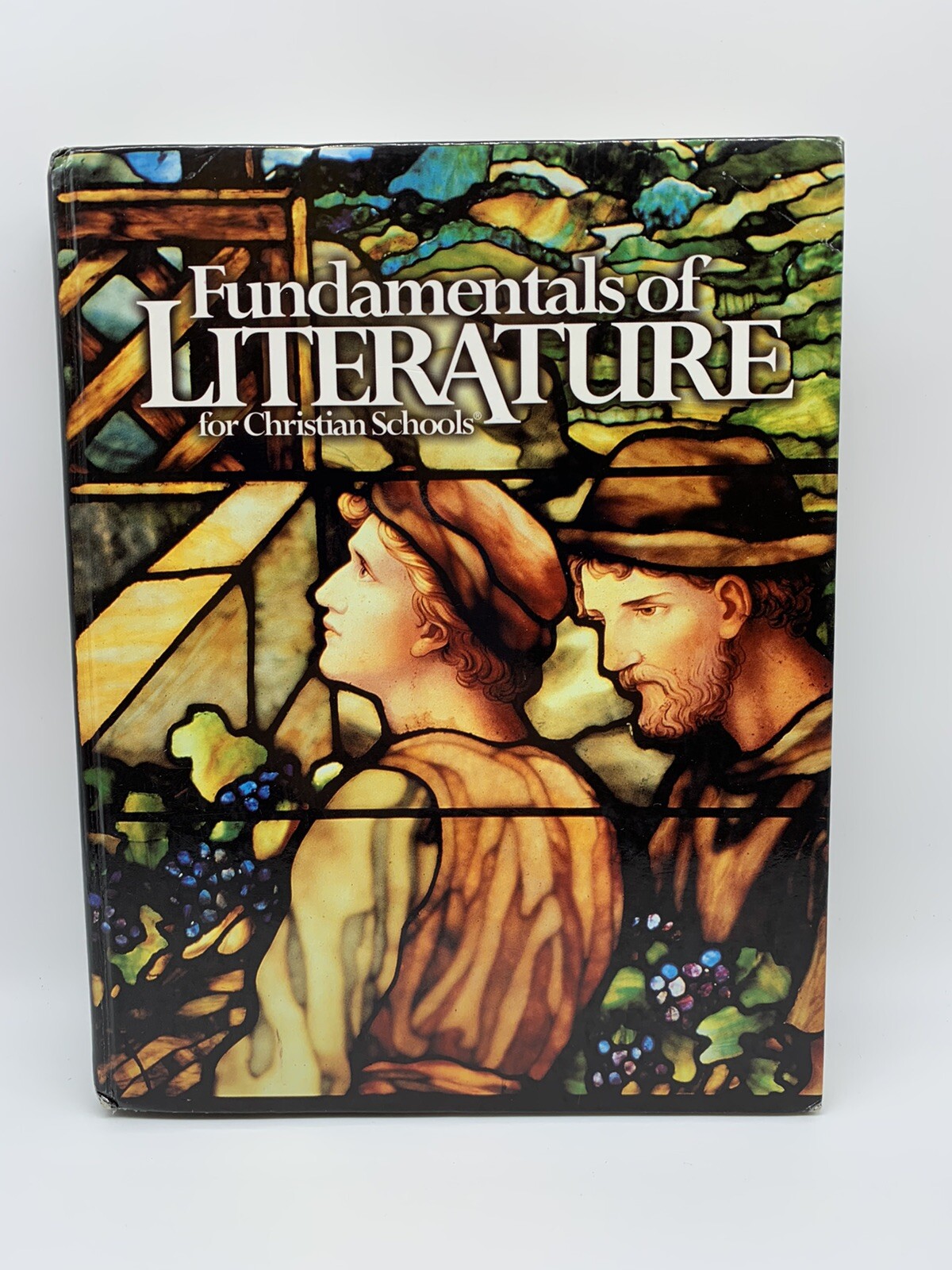 BJU Fundamentals of Literature Student, Bob Jones 9th grade School / Homeschool