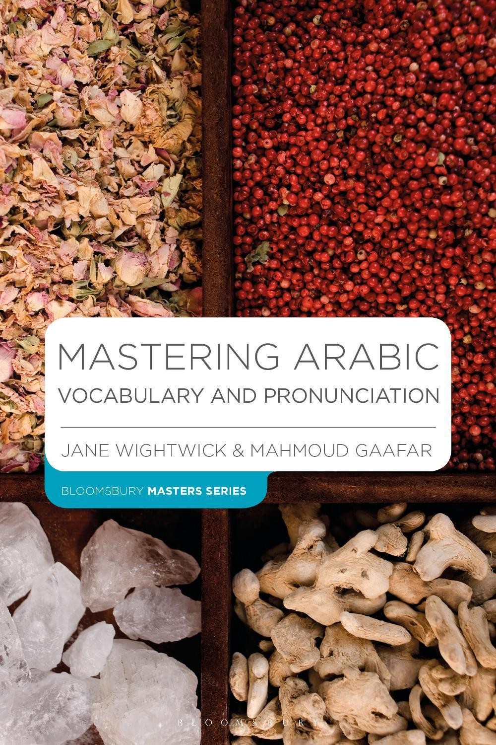 Mastering Arabic Vocabulary and Pronunciation 1st Edition by Jane Wightwick (Eng