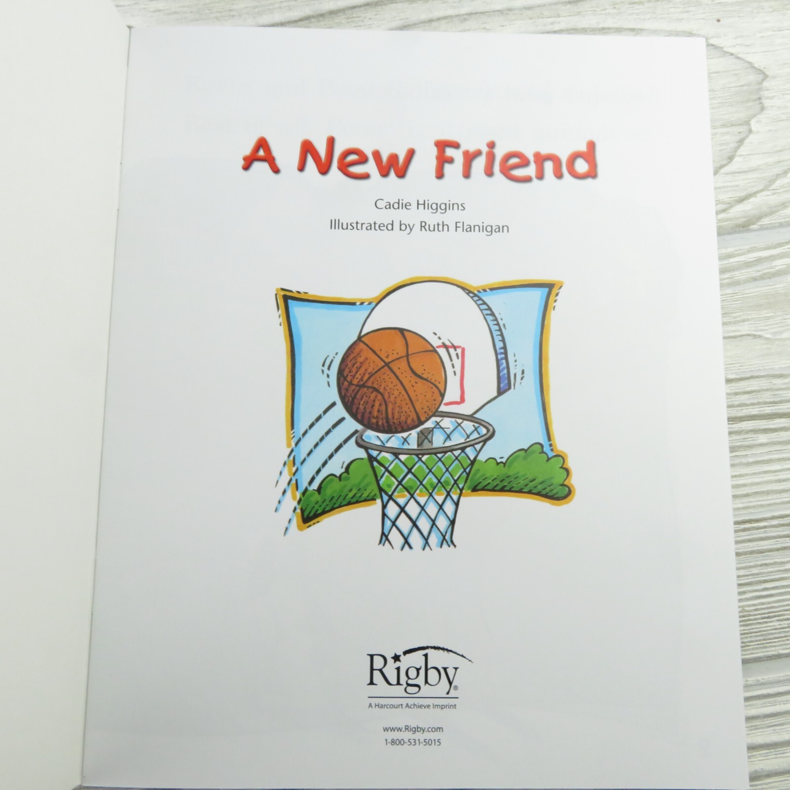 Rigby – A New Friend – Literacy by Design – Reading Level G – Lot of 3 Books