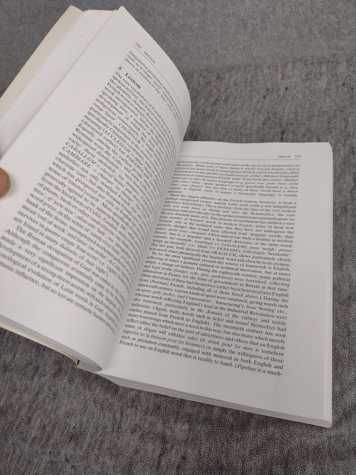 Bernard Comrie 1990 Trade Paperback : The World’s Major Languages Reprint