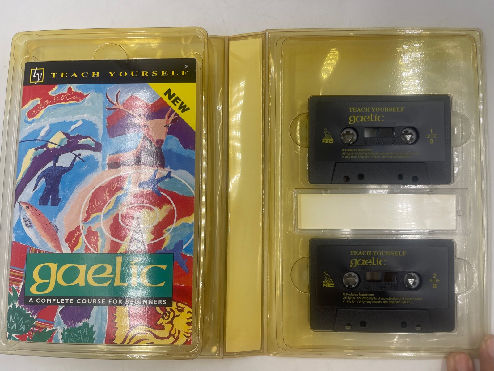 Gaelic A Complete Course For Beginners By Boyd Robertson and Iain Taylor W Tapes