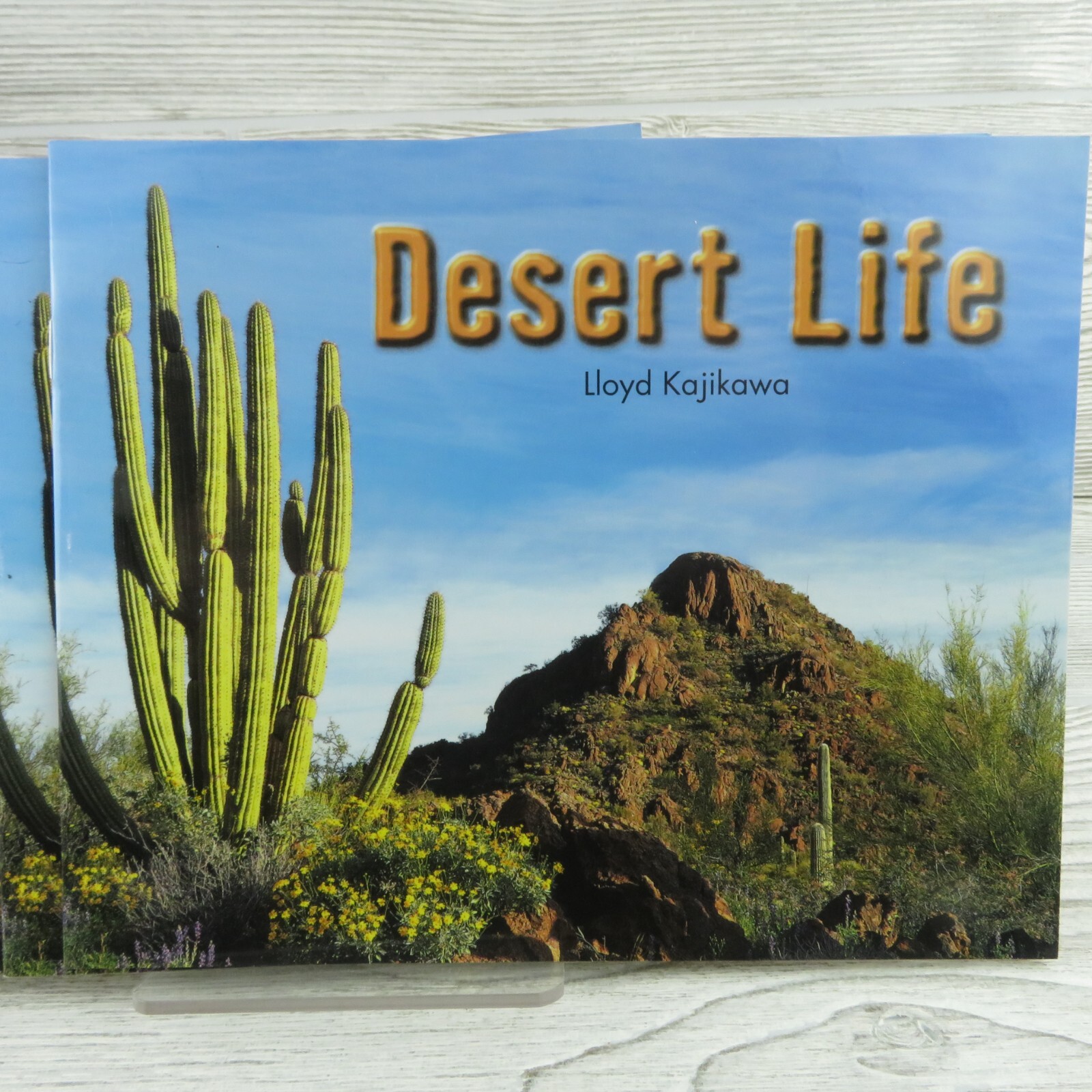 Rigby – Desert Life – Literacy by Design – Reading Level H – Lot of 6 Books