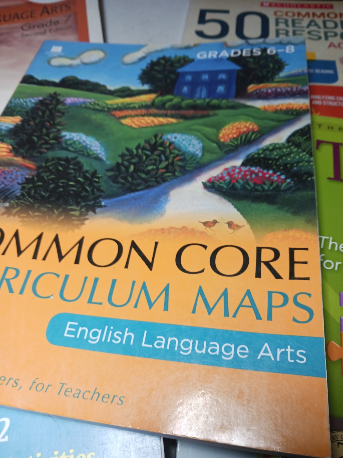 Lot of 10 Teaching Grammar Writing Middle School Activity Ideas Books Literature