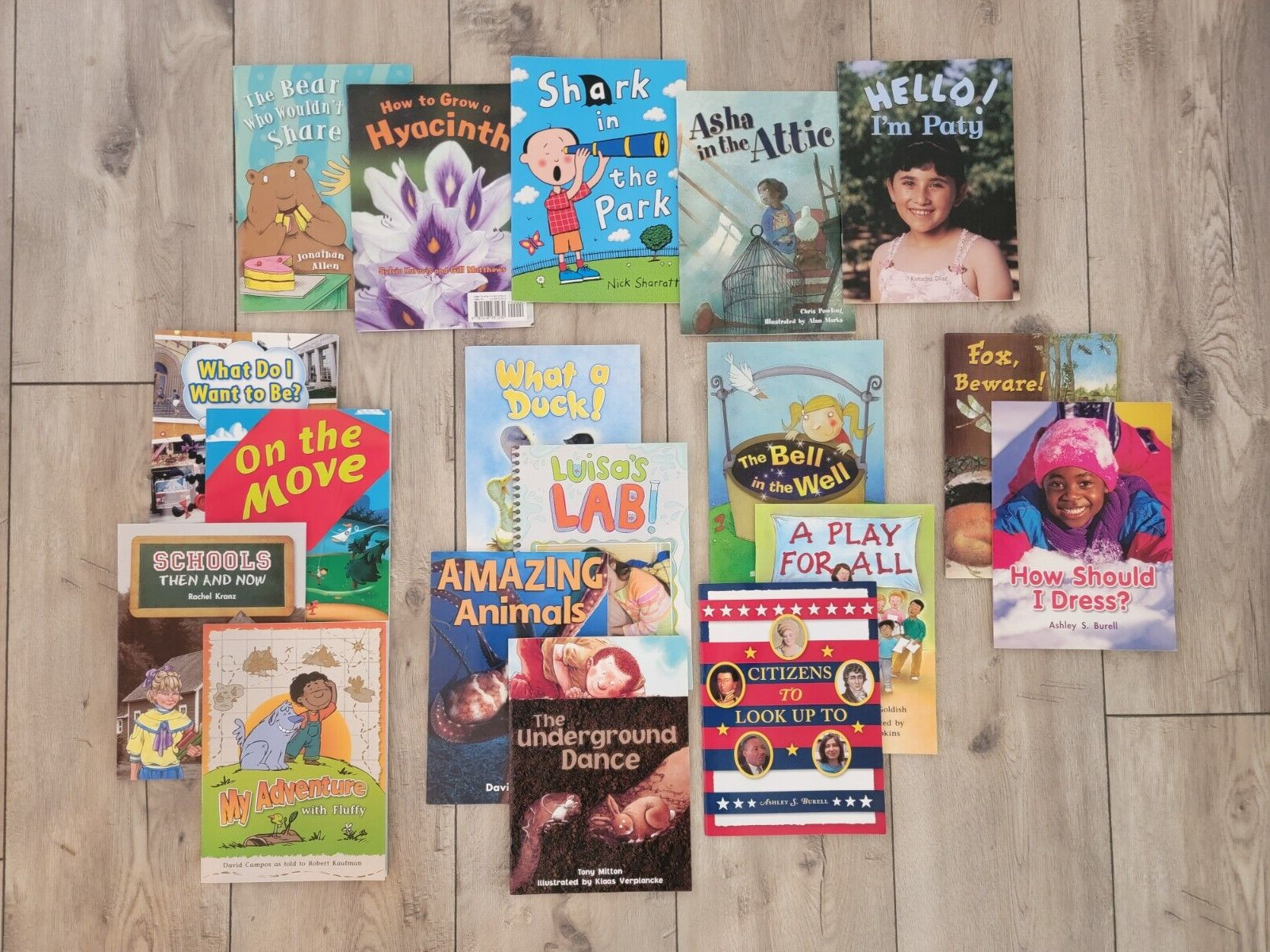 LOT of 18 Rigby Literacy By Design First Grade Interactive Readers Homeschool