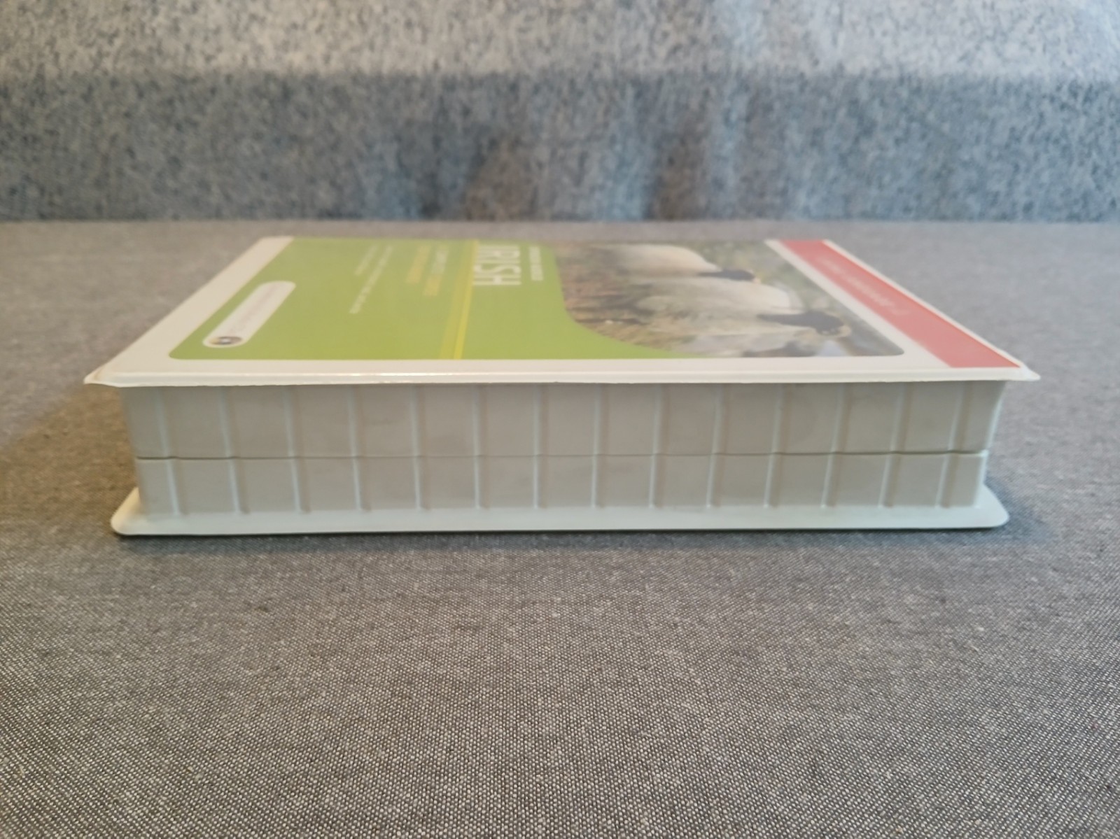 Spoken World: Irish (Book & 6 CDs) by Living Language Staff – 2009 – 304 pages