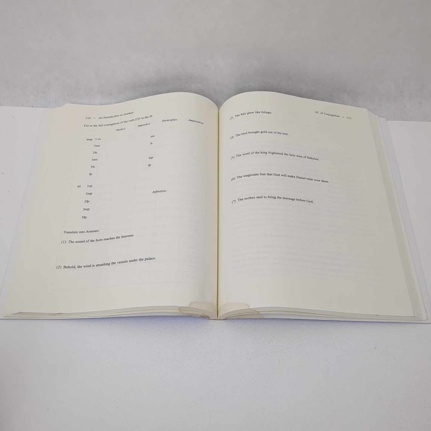 An Introduction to Aramaic by Frederick E. Greenspahn 1999, Trade Paperback