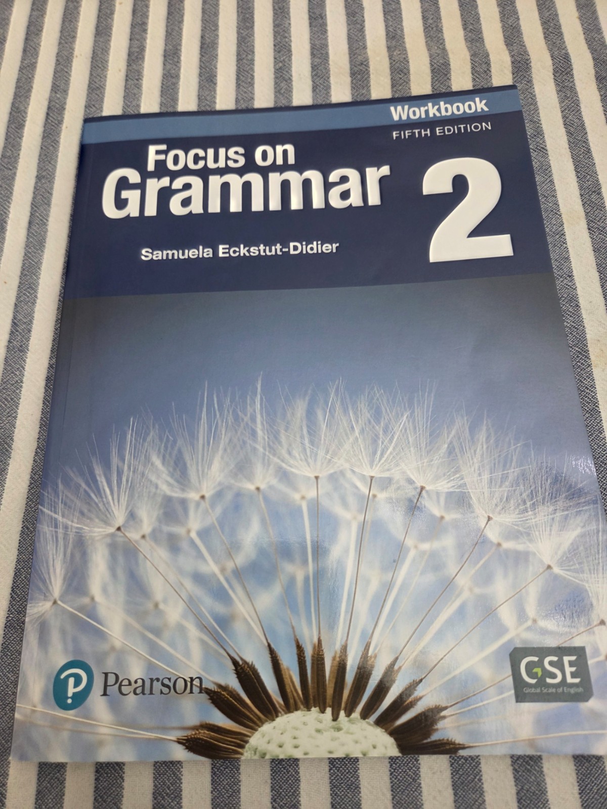 Focus on Grammar Level 2 : Workbook by Schoenberg (2017, Trade Paper)-LIKE NEW