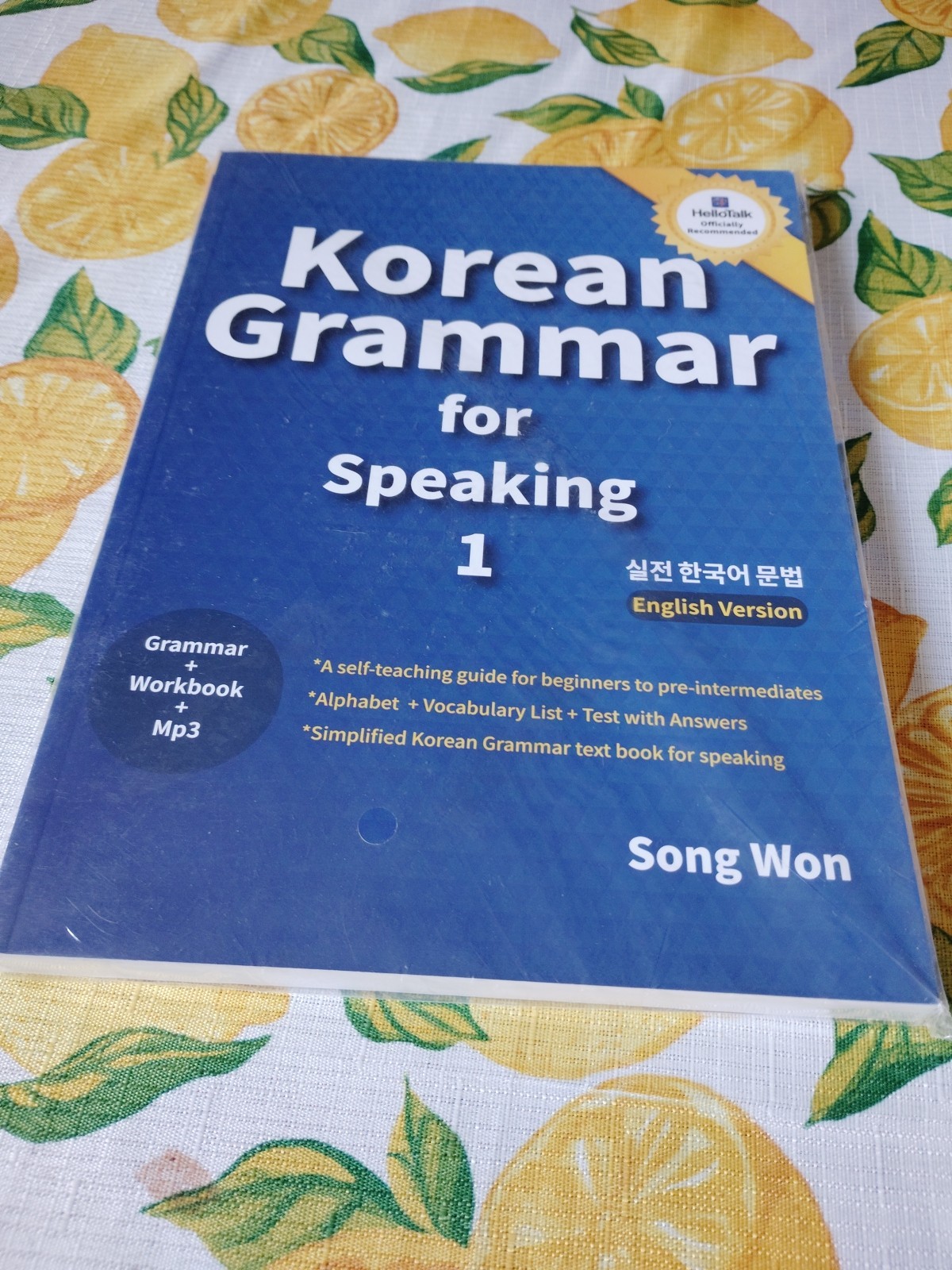 Korean Grammar for Speaking 1 (English Version) Paperback by Song Won