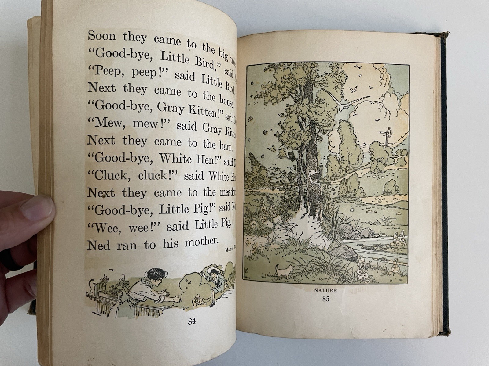 The Elson Readers Primer Vintage Book 1920 by William Elson & Lura Runkel READ